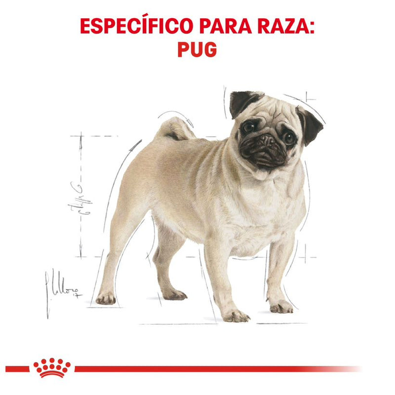 Pack Royal Canin 2 Bultos Pug Adulto de 4.54kg + Plato de regalo