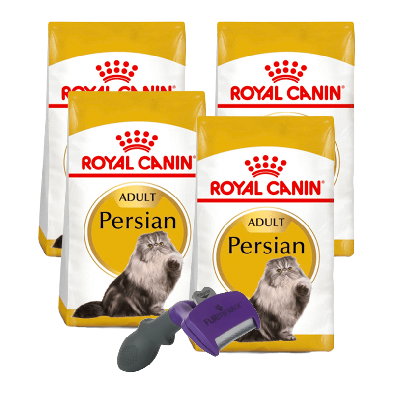 Pack 4 Bultos Royal Canin Persian Adult 3.18kg + Furminator de regalo
