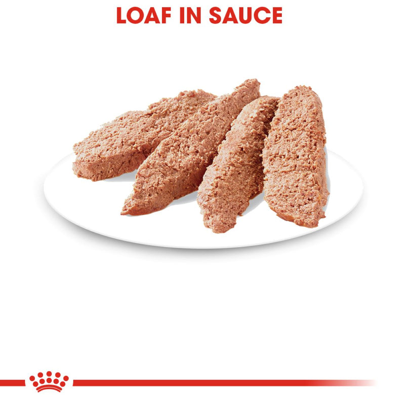 Royal Canin Weight Care Loaf in Sauce Lata 145 gr - Alimento Húmedo Gato Adulto