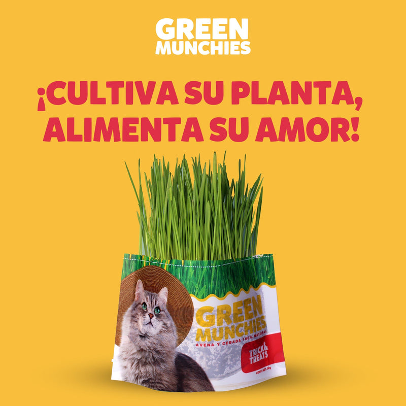 Green Munchies Avena y Cebada, Pasto Para Gato 50g - Premios para Gato