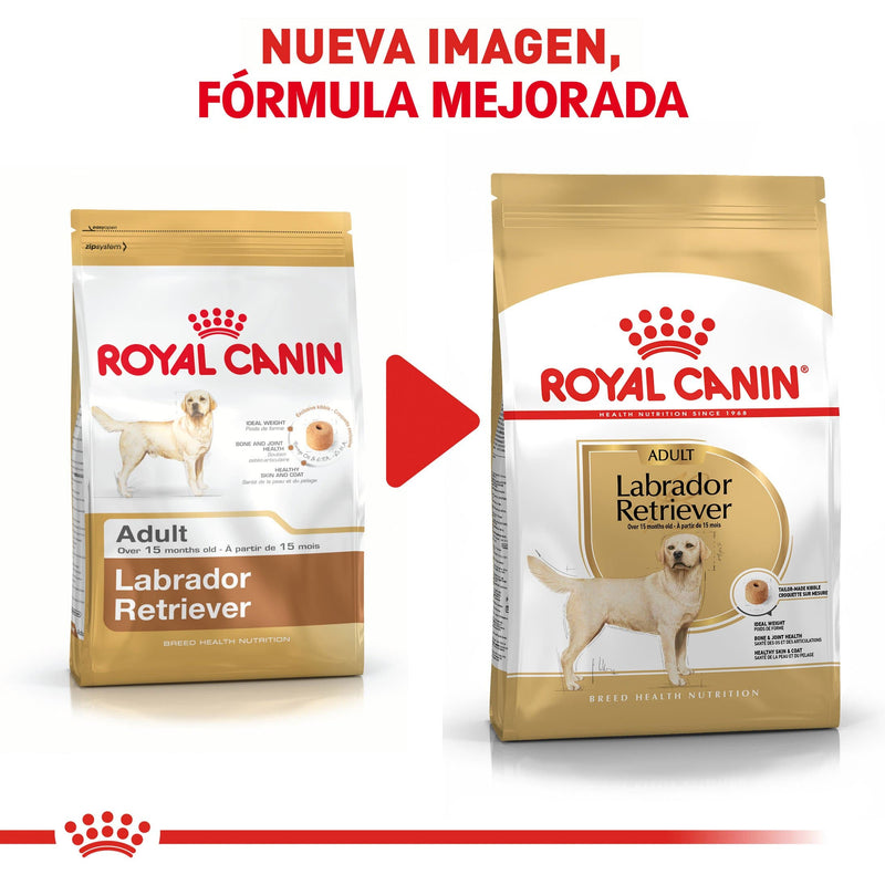 Royal Canin Labrador Retriever Adulto 13.63 kg - Alimento Seco Labrador Adulto