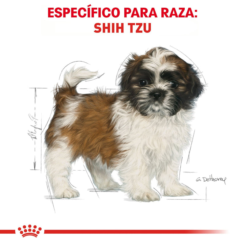 Royal Canin Shih-Tzu Puppy 1.1kg - Alimento Seco Shih-Tzu Cachorro