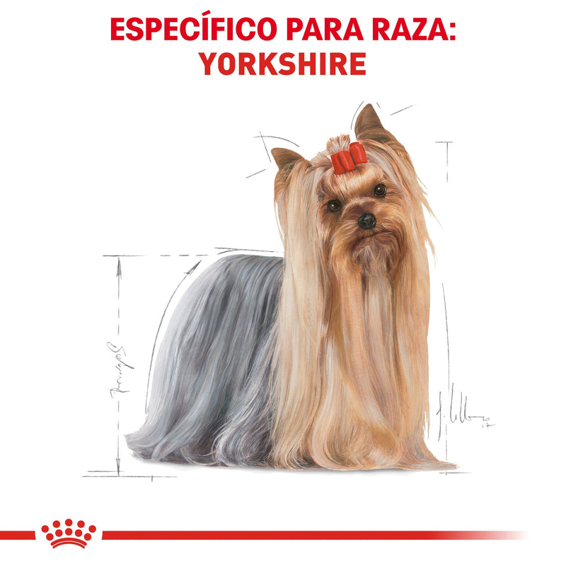 Royal Canin Yorkshire Terrier Adulto 4.54kg - Alimento Seco Yorkshire Terrier Adulto