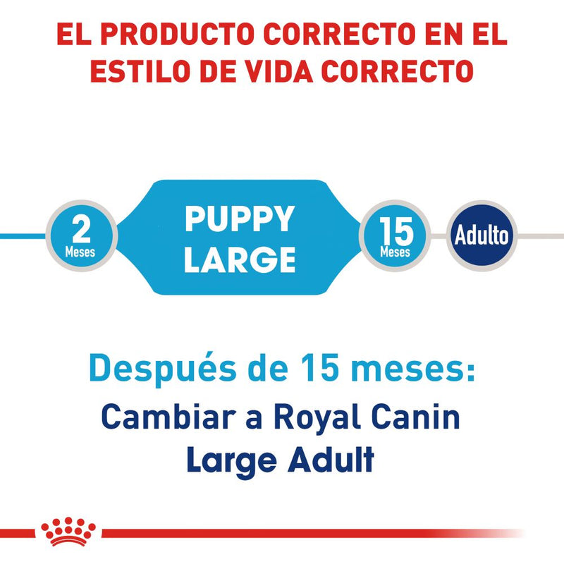 Royal Canin Large/Maxi Puppy 2.72 kg - Alimento Seco Perro Cachorro Raza Grande