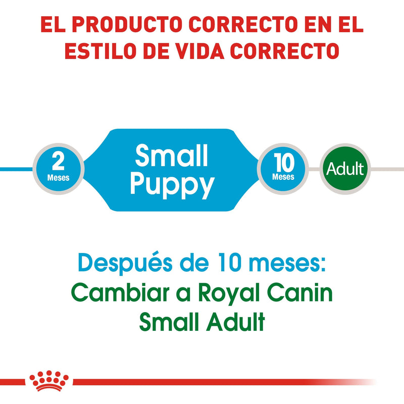 Royal Canin Small/Mini Puppy 1.1kg - Alimento Seco Perro Cachorro Raza Pequeña