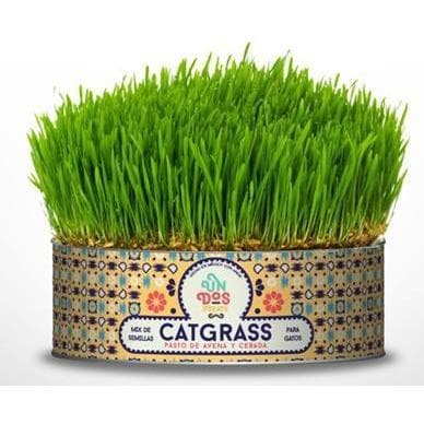 Un Dos Treats Catgrass Mix Avena y Cebada - Premios para gato