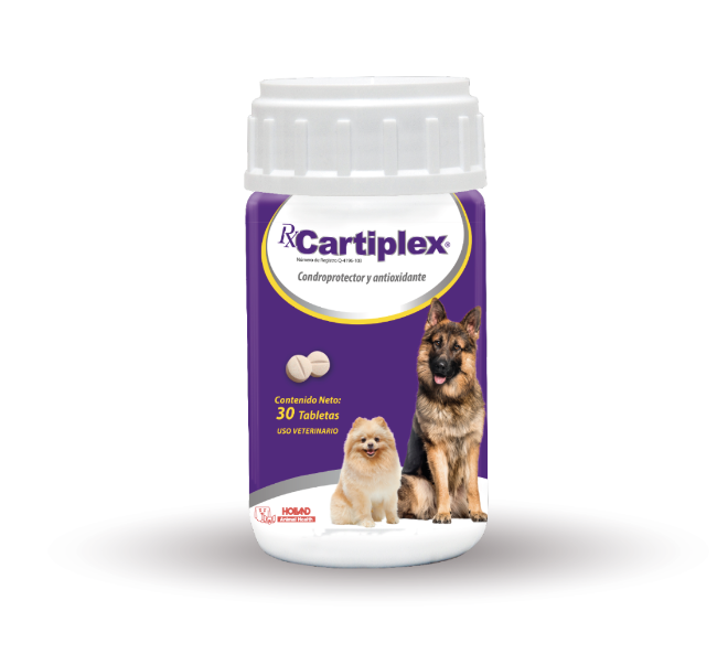 Holland Suplemento Nutricional Rx Cartiplex 30 tabletas - Cuidado Perros y Gatos