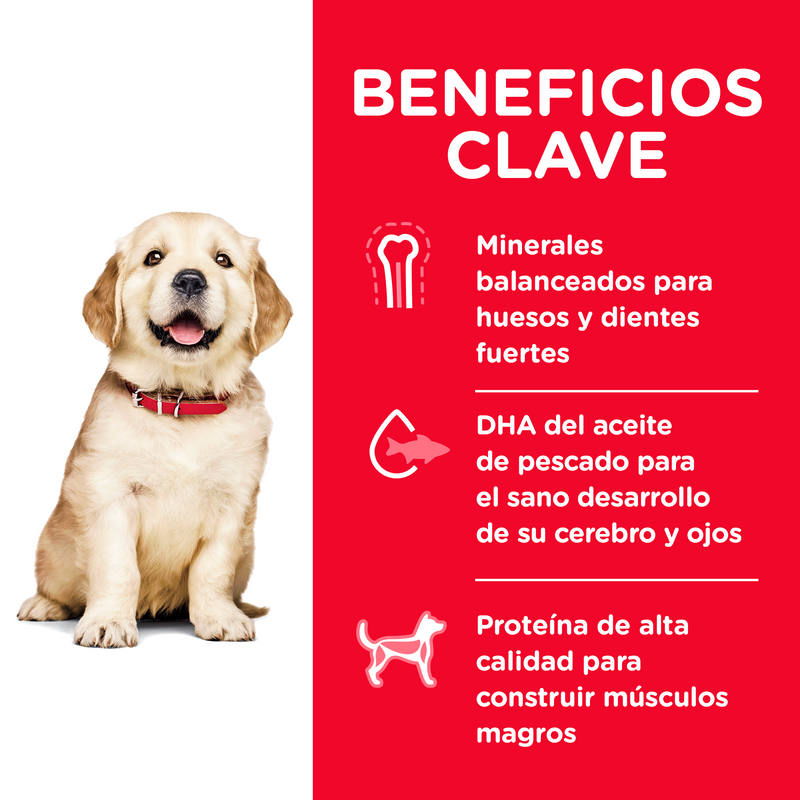 Hill's Science Diet Puppy Large 12.5kg Receta Pollo - Alimento Seco Perro Cachorro Raza Grande