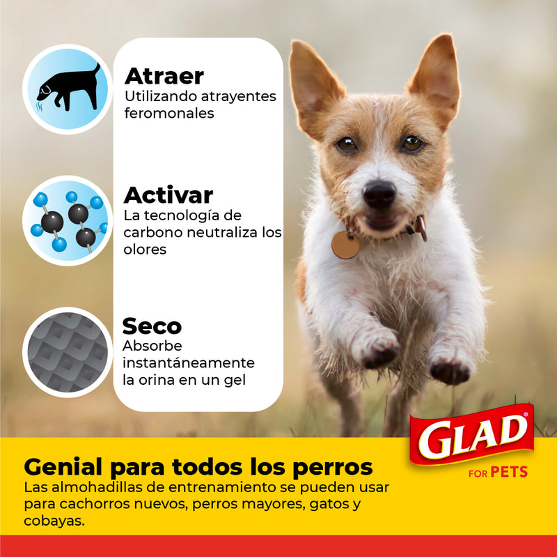 Tapete Entrenador para Perro Glad 30pz - Accesorios Perro y Gato