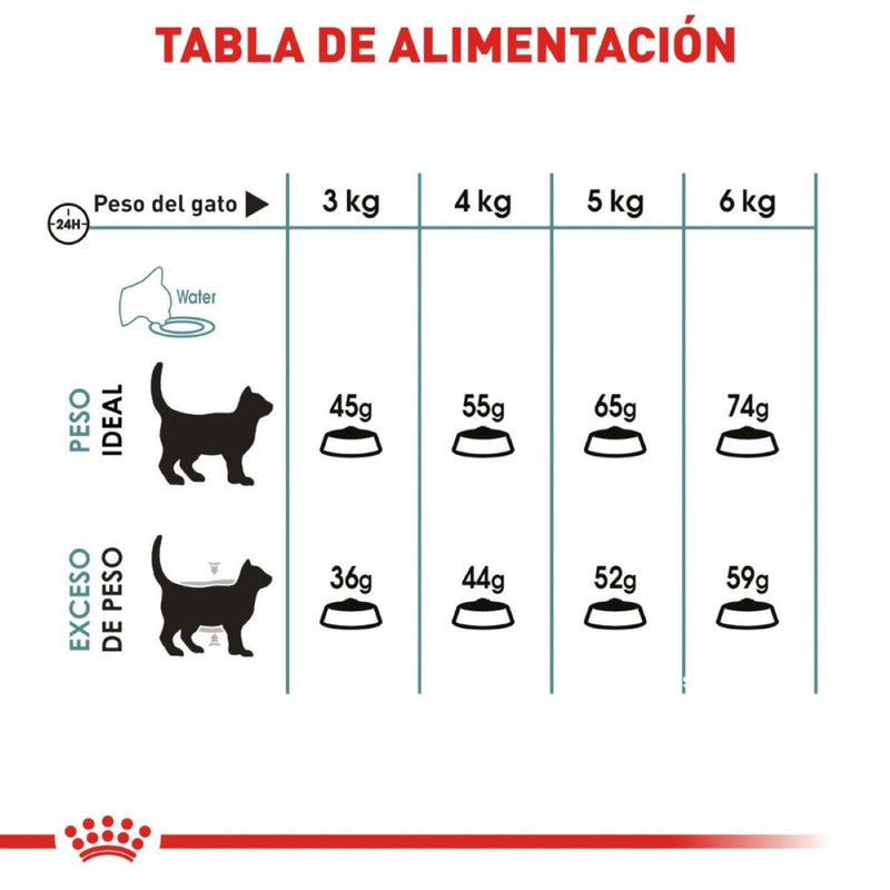 Royal Canin Indoor Intense Hairball 2.72 kg- Alimento Seco Gato Adulto