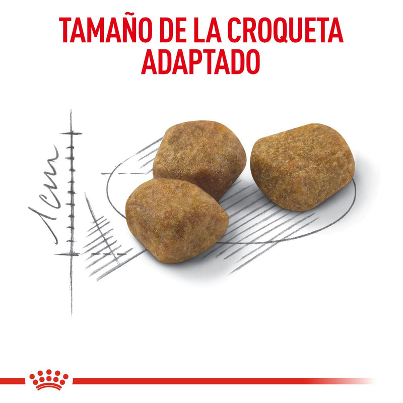 Royal Canin Indoor 7+ 2.5 kg - Alimento Seco Para Gato Senior