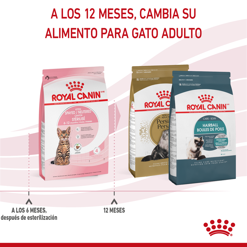 Royal Canin Kitten Spayed/Neutered 1.14 kg - Alimento Seco Gatito Esterilizado