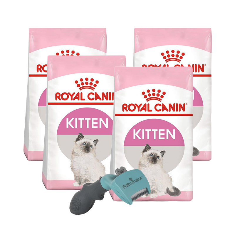 Pack 4 Bultos Royal Canin Kitten 3.18 kg + Furminator de regalo