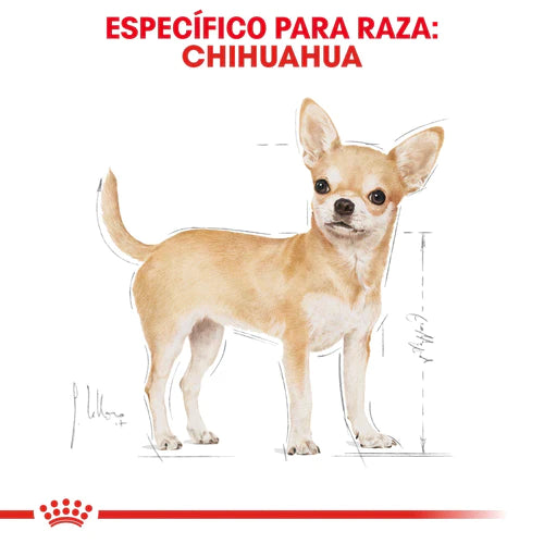 Pack Royal Canin 2 Bultos Chihuahua Adulto de 4.5 kg + Plato de regalo