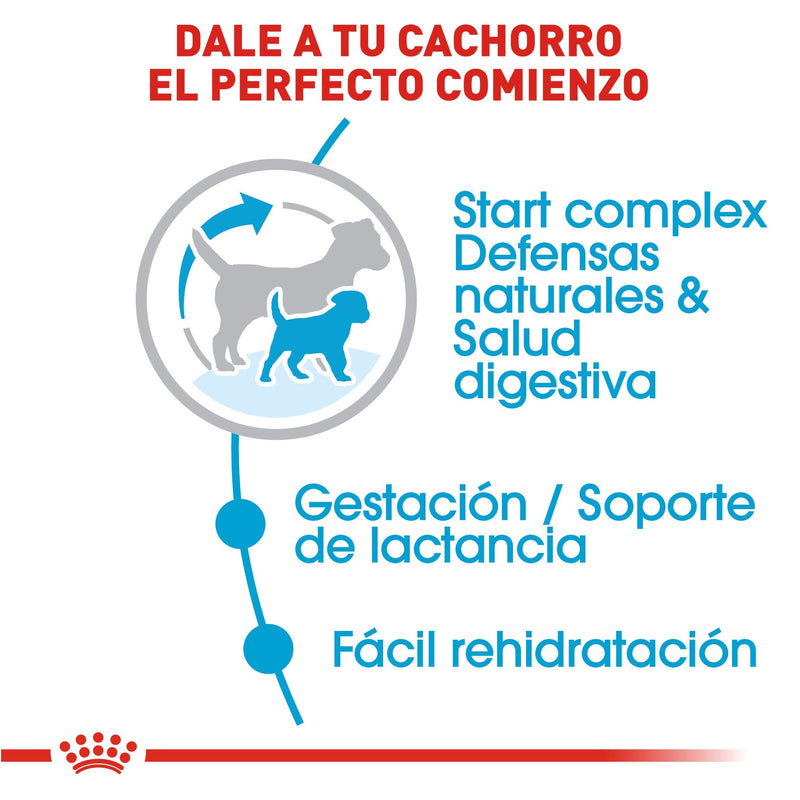 Royal Canin Small/Mini Starter Mother & Baby Dog 6.3 kg - Alimento Seco Perras Gestantes y Cachorros