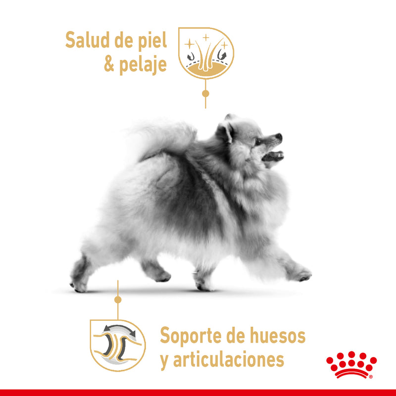 Royal Canin Pomeranian Adulto 1.1 kg - Alimento Seco Pomeranian Adulto