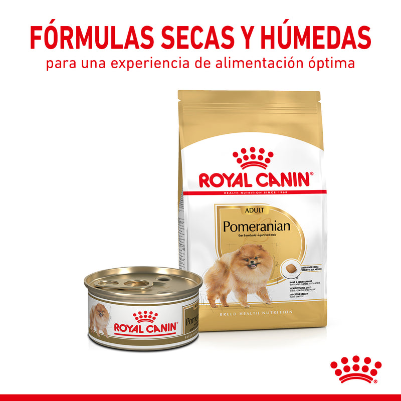 Royal Canin Pomeranian Adulto 1.1 kg - Alimento Seco Pomeranian Adulto