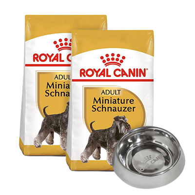 Pack Royal Canin 2 Bultos Schnauzer Miniatura Adulto 4.54kg + Plato de regalo