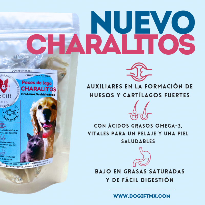 DoGift 2 Bolsas de Charales de 30 gr - Premios Perro y Gato