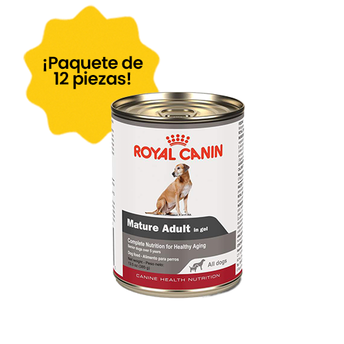 Paquete de 12 Royal Canin Mature Lata .385 kg - Alimento Húmedo Perro Senior