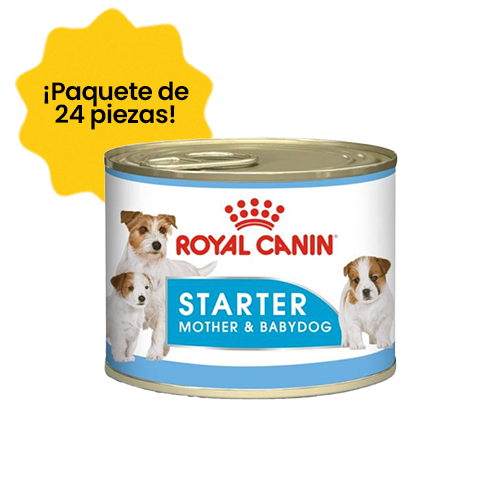 Paquete de 24 Royal Canin Starter Mousse Lata 145gr - Alimento Húmedo Perras Gestantes y Cachorros