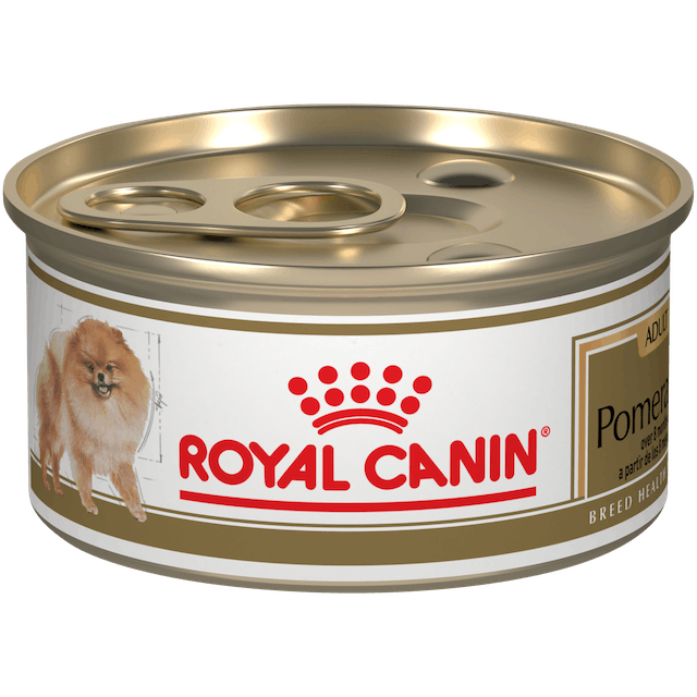 Royal Canin Pomeranian Adulto Lata 85 gr - Alimento Húmedo para Pomeranian Adulto