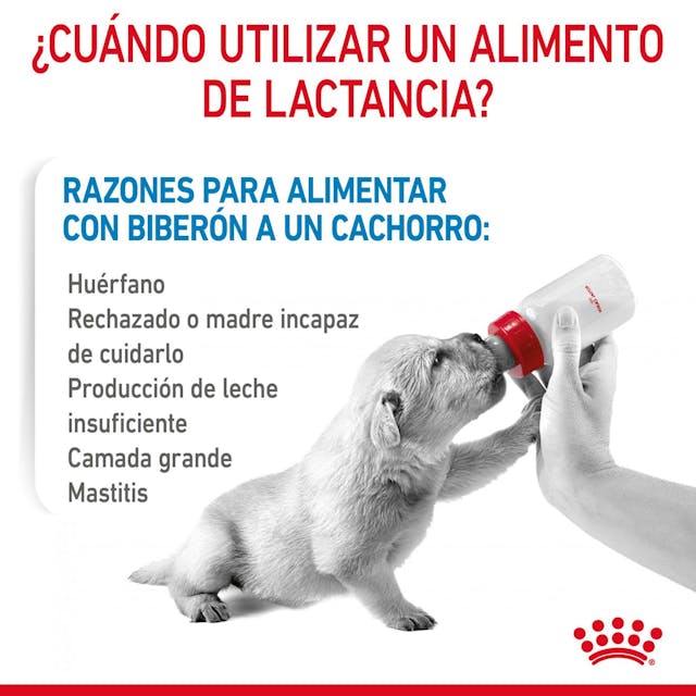 Royal Canin Baby Dog Milk 400gr  - Leche en Polvo para Cachorros