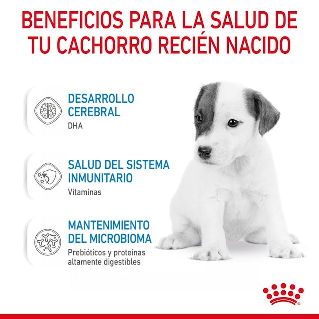 Royal Canin Baby Dog Milk 400gr  - Leche en Polvo para Cachorros