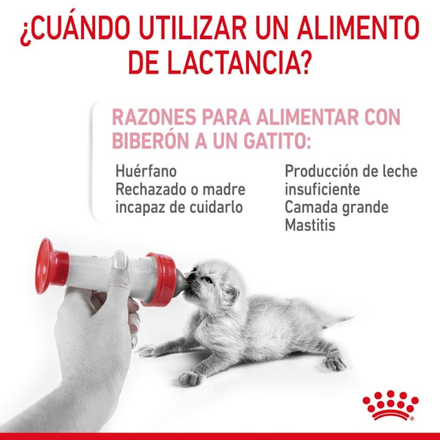 Royal Canin Baby Cat Milk 300gr - Leche en Polvo para Gatitos