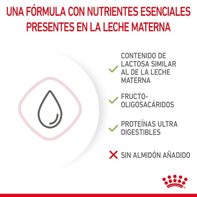 Royal Canin Baby Cat Milk 300gr - Leche en Polvo para Gatitos