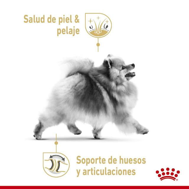 Royal Canin Pomeranian Adulto Lata 85 gr - Alimento Húmedo para Pomeranian Adulto