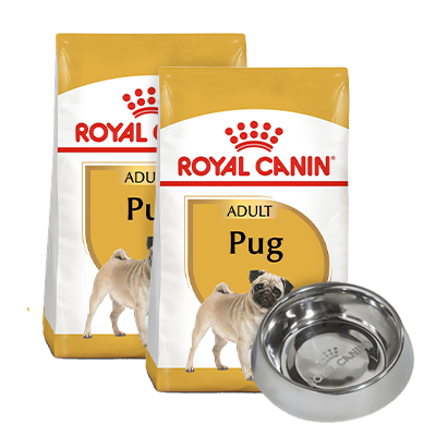 Pack Royal Canin 2 Bultos Pug Adulto de 4.54kg + Plato de regalo