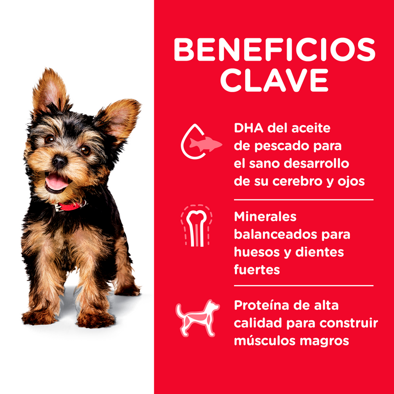 Hill's Science Diet Puppy Small Paws 7kg Receta Pollo - Alimento Seco Perro Cachorro Raza Pequeña y Miniatura