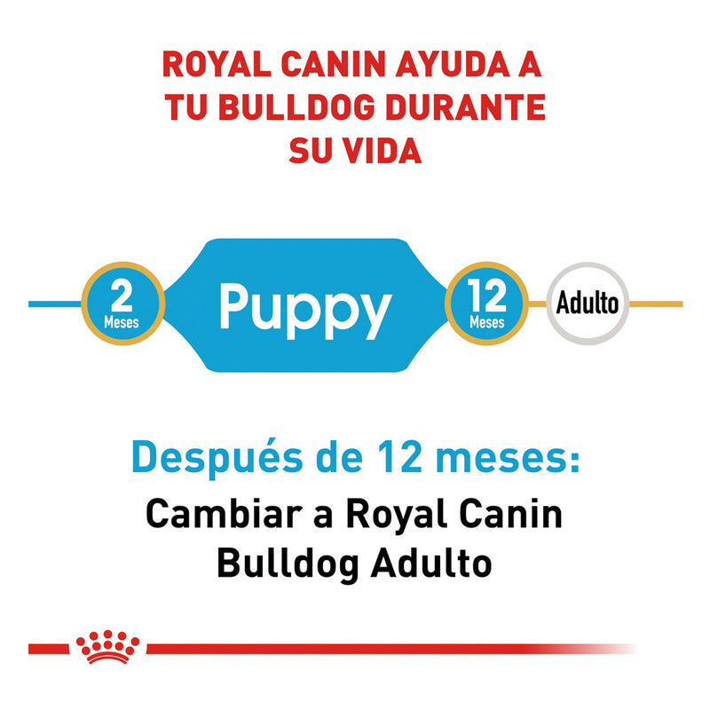 Royal Canin Bulldog Inglés Puppy 2.72 kg - Alimento Seco Bulldog Inglés Cachorro