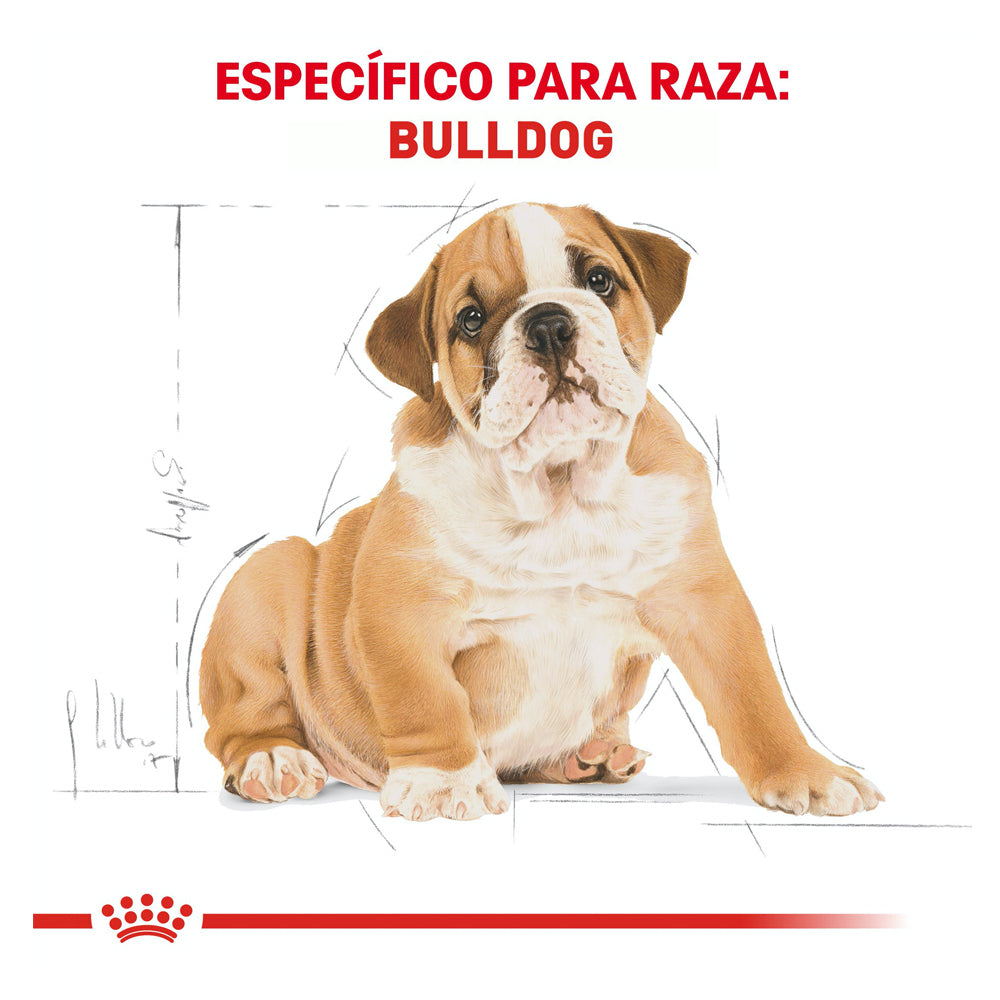 Royal Canin Bulldog Inglés Puppy 13.6 kg - Alimento Seco Bulldog Inglés Cachorro