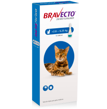 Bravecto Cat Medium Antipulgas y Garrapatas para gatos de 2.8 a 6.5 kg - Cuidado para Gato