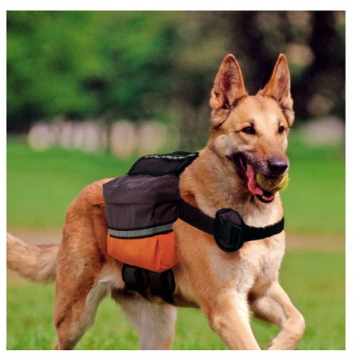 Ferplast Dog Scout Mochila para Perro Medianos y Grandes Accesorios