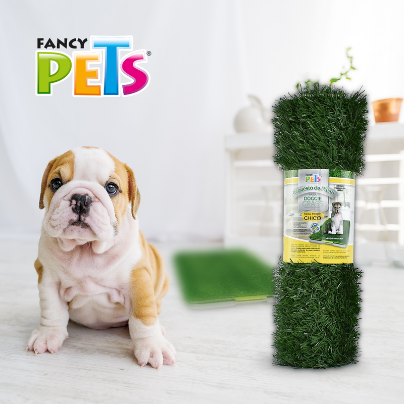 Fancy Pets Repuesto Doggie Grass Chico - Accesorios