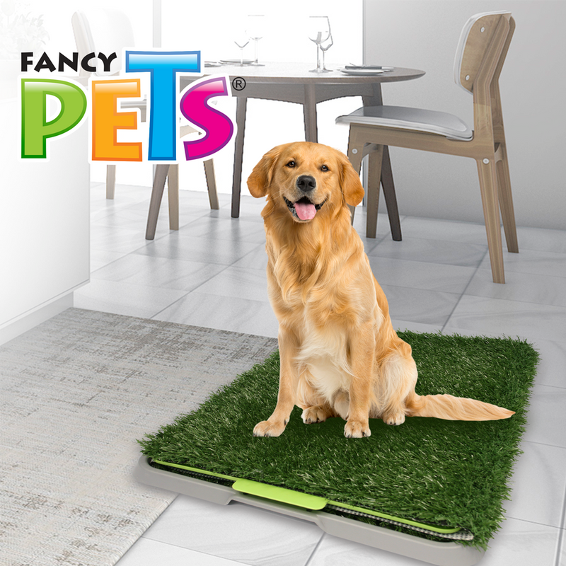 Fancy Pets Doggie Grass Grande - Accesorios