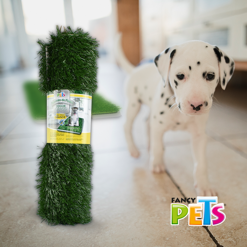 Fancy Pets Repuesto Doggie Grass Grande - Accesorios