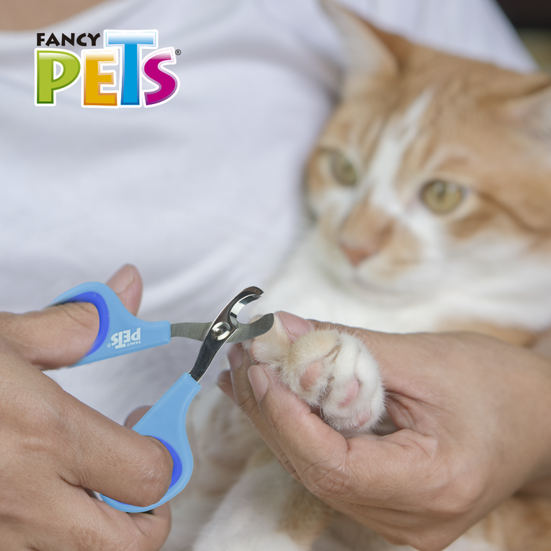 Fancy Pets Tijera Cortauñas para Gato Chico -  Accesorios