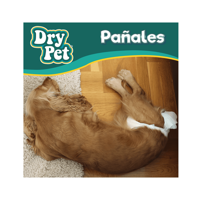 Dry Pet Pañales para Perro Grande 12 pz - Accesorios