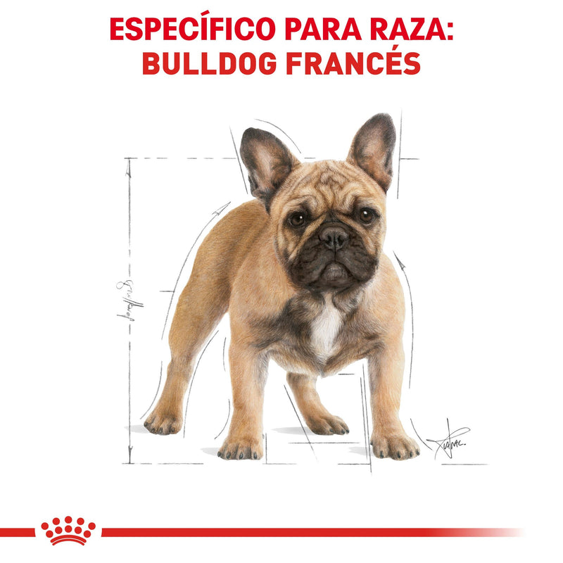 Royal Canin Bulldog Francés Adulto 7.7 kg - Alimento Seco French Bulldog