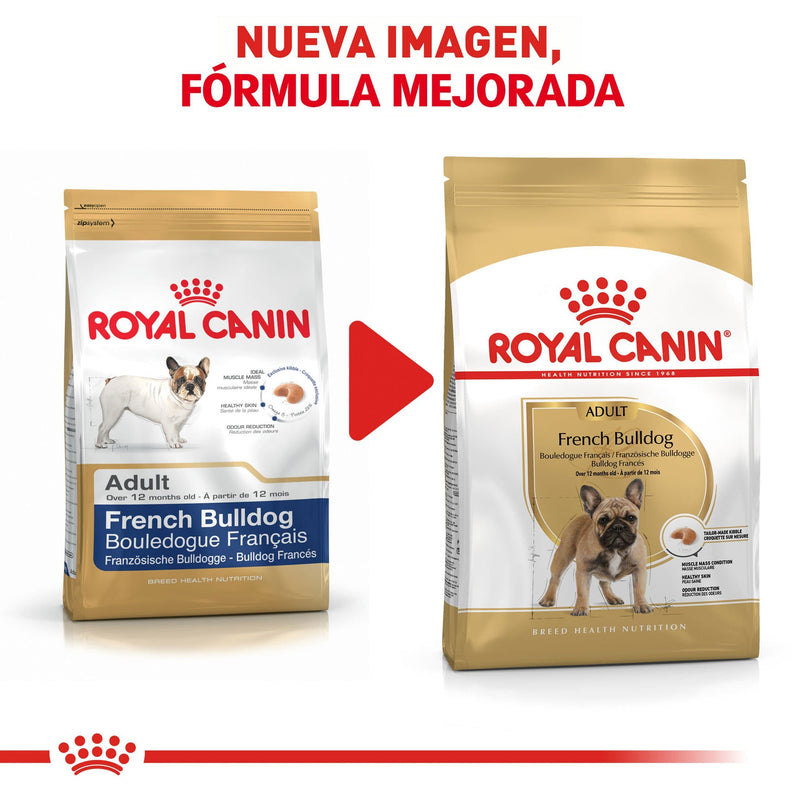 Royal Canin Bulldog Francés Adulto 7.7 kg - Alimento Seco French Bulldog