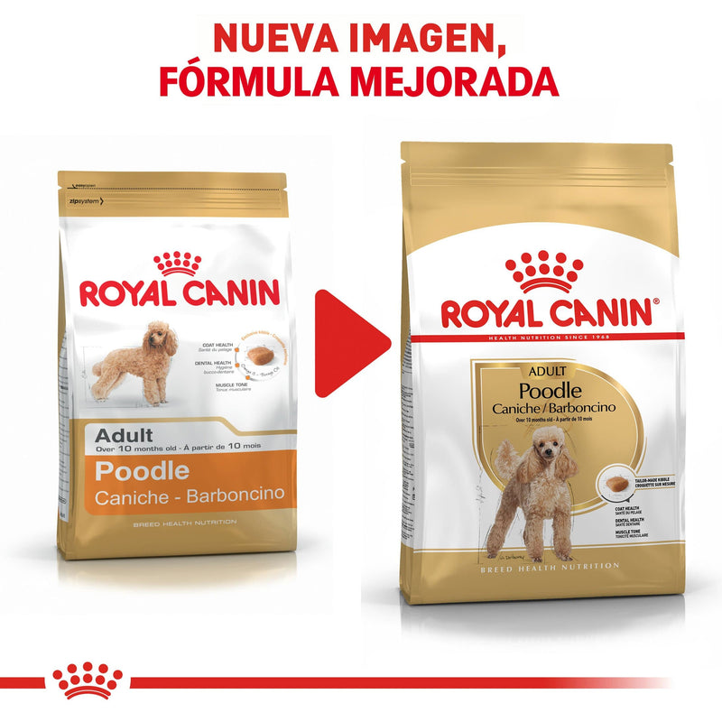 Royal Canin Poodle Adulto 4.54kg - Alimento Seco Poodle Adulto