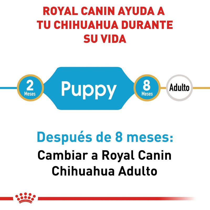Royal Canin Chihuahua Puppy 1.13 kg - Alimento Seco Chihuahua Cachorro