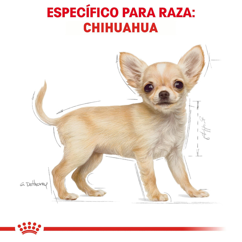 Royal Canin Chihuahua Puppy 1.13 kg - Alimento Seco Chihuahua Cachorro