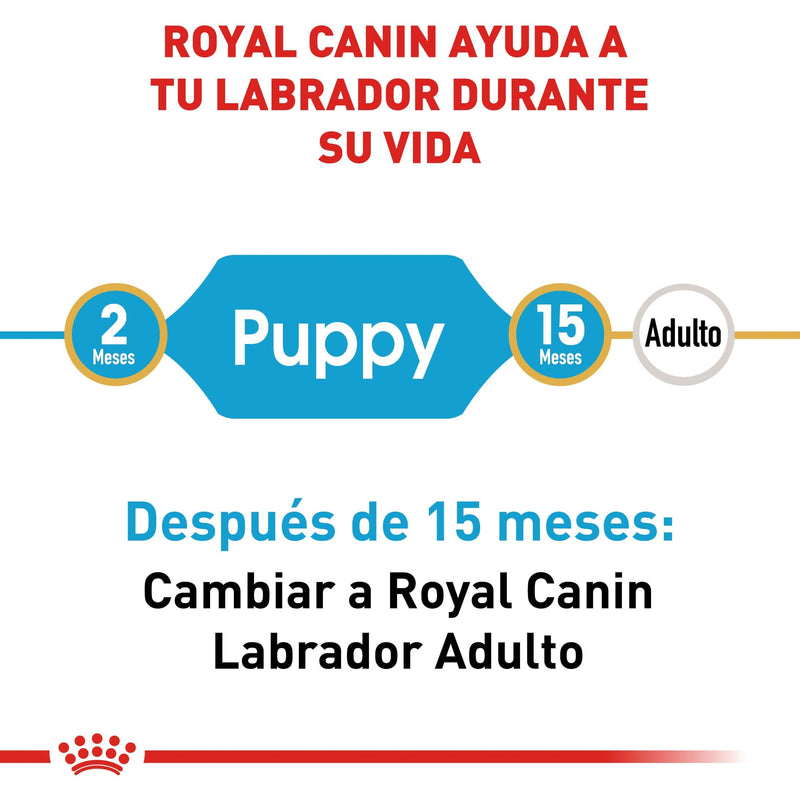 Royal Canin Labrador Retriever Puppy 13.63 kg - Alimento Seco Labrador Cachorro