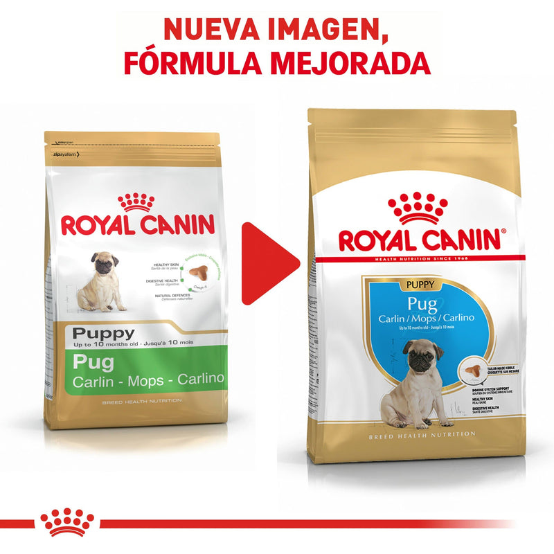 Royal Canin Pug Puppy 1.13kg - Alimento Seco Pug Cachorro