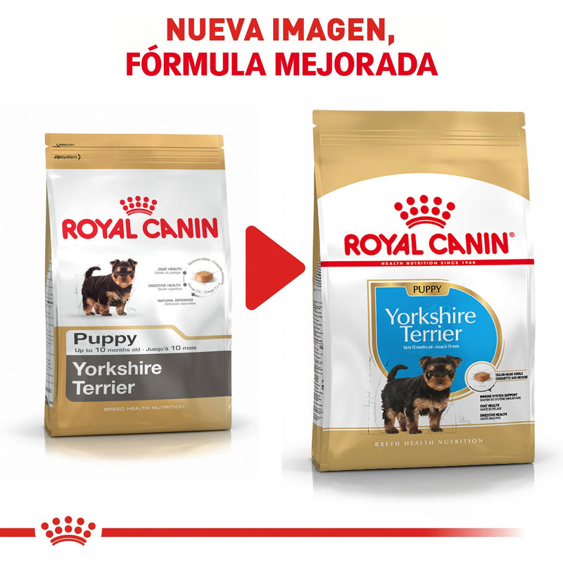 Royal Canin Yorkshire Terrier Puppy 1kg - Alimento Seco Yorkshire Terrier Cachorro